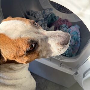 Meet your Posher, Jp